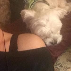 Meet your Posher, Charity